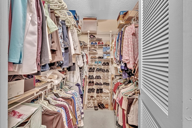 walk in closet with carpet floors