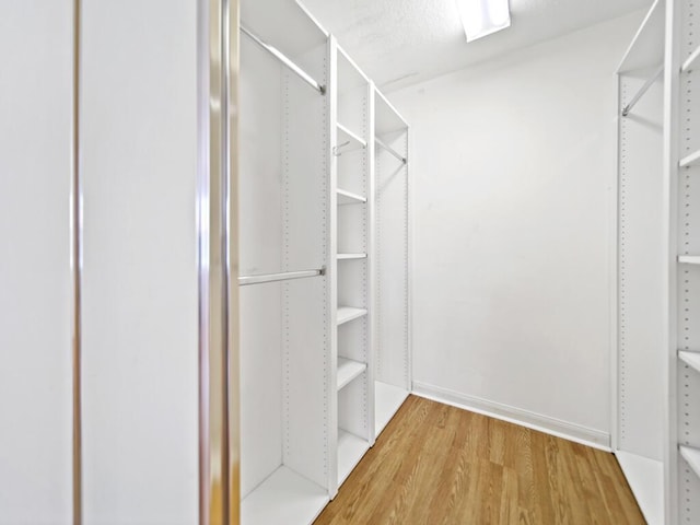 walk in closet featuring hardwood / wood-style floors