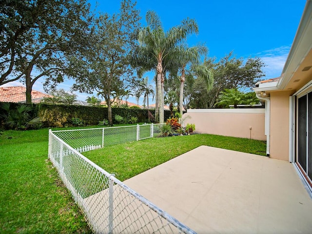 view of yard featuring a patio area