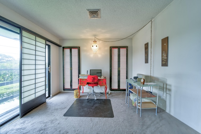 sitting room featuring a textured ceiling and carpet floors