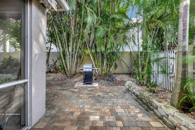 view of patio / terrace with grilling area