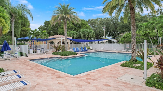 view of swimming pool with a patio