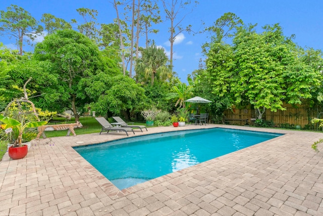 view of pool featuring a patio area