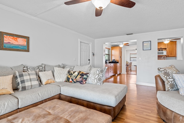 living room featuring ornamental molding, light wood-type flooring, ceiling fan, and a textured ceiling