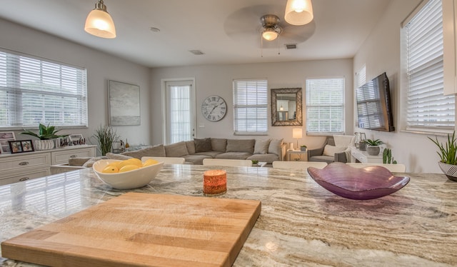 living room with a healthy amount of sunlight and ceiling fan