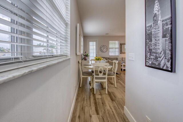 interior space featuring hardwood / wood-style floors and a wealth of natural light