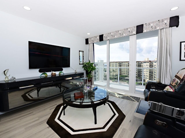 living room featuring light hardwood / wood-style flooring