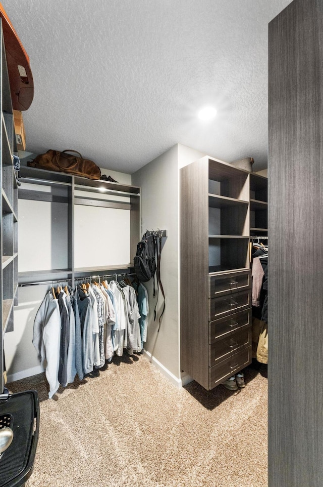 walk in closet featuring light colored carpet