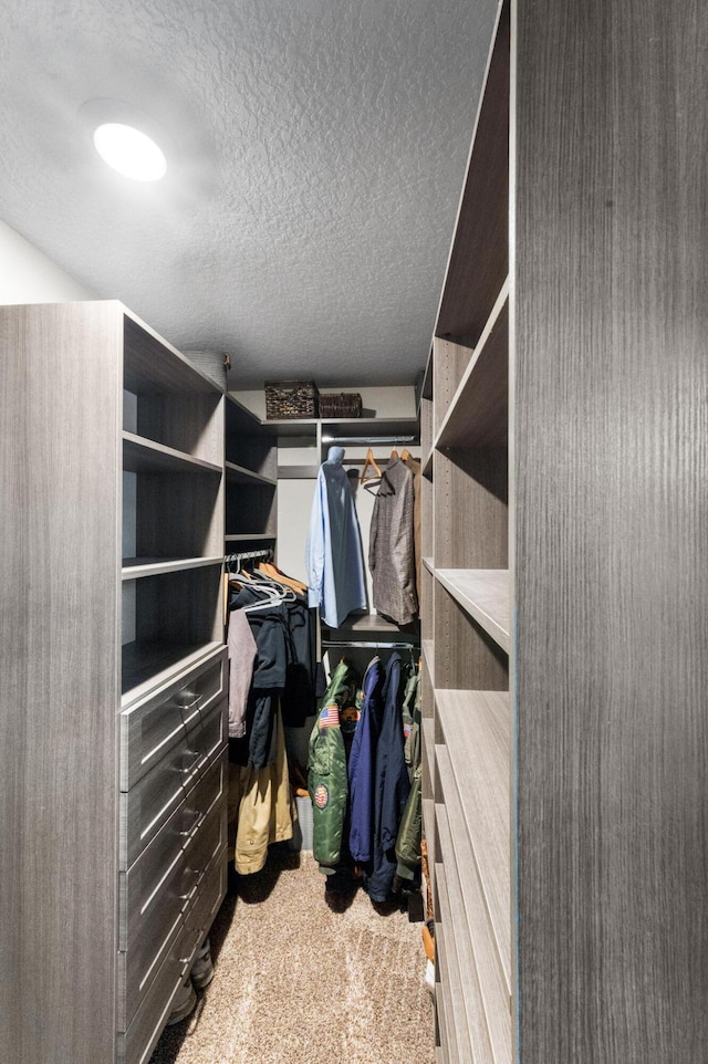 walk in closet featuring carpet