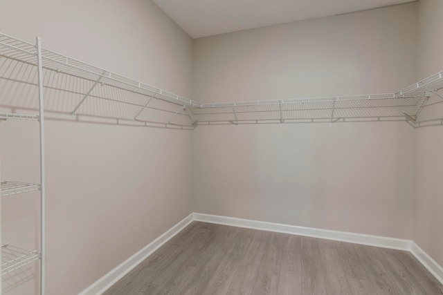 walk in closet featuring hardwood / wood-style floors