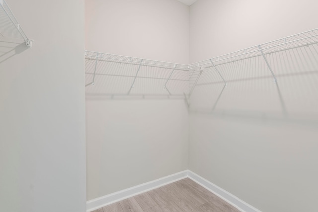 spacious closet with hardwood / wood-style flooring