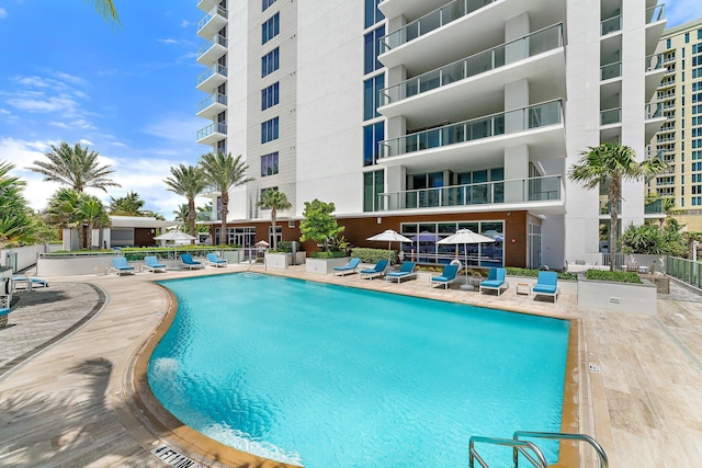 view of swimming pool with a patio area