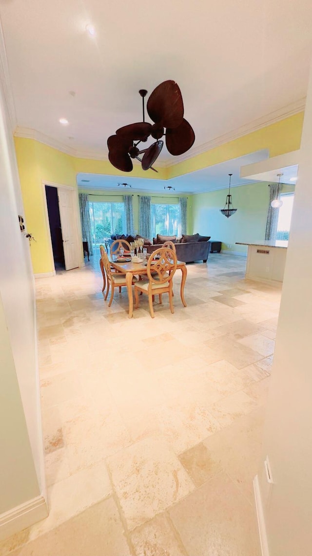 dining space with a healthy amount of sunlight, crown molding, and ceiling fan