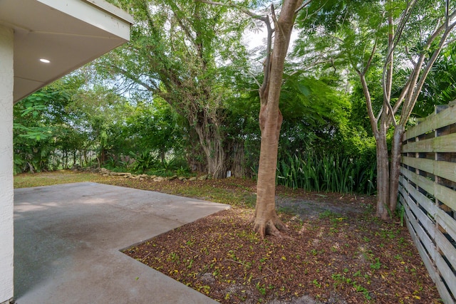 view of yard featuring a patio