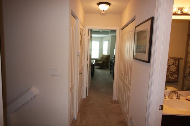 corridor with carpet flooring and sink