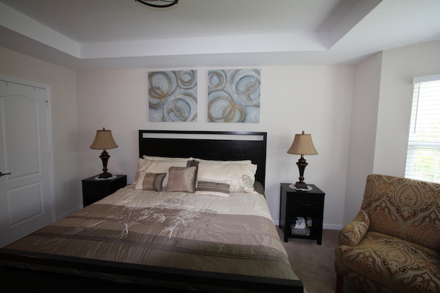 bedroom featuring carpet floors and a raised ceiling