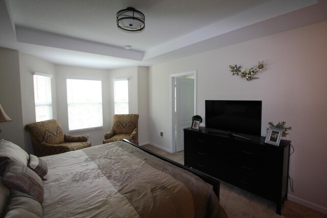 bedroom featuring carpet floors and a tray ceiling