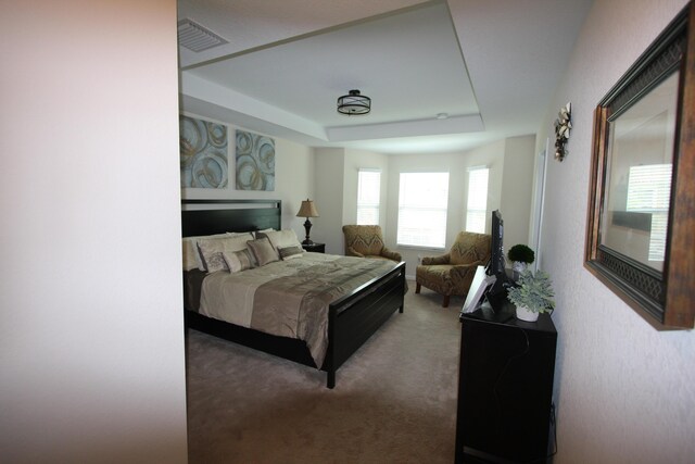 bedroom featuring carpet floors and a raised ceiling