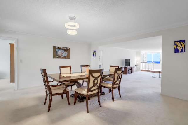 carpeted dining area with a textured ceiling