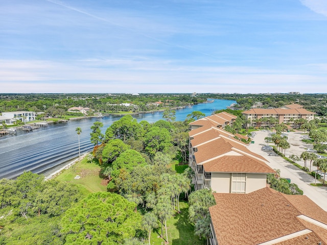 bird's eye view of a large body of water and a tree filled landscape