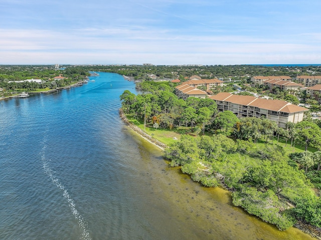 aerial view of a nearby body of water and a tree filled landscape