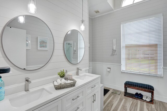 bathroom with vanity, wood-type flooring, and a healthy amount of sunlight