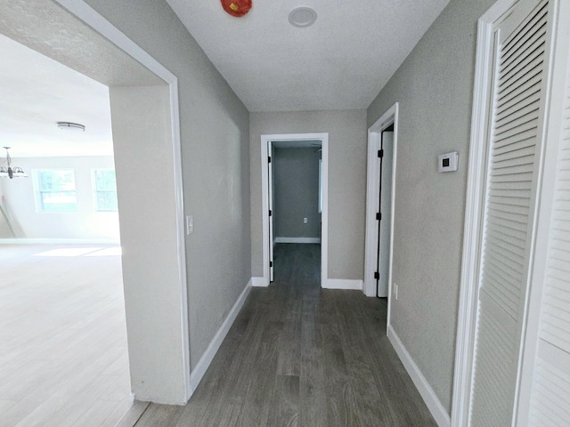 hall featuring dark hardwood / wood-style floors