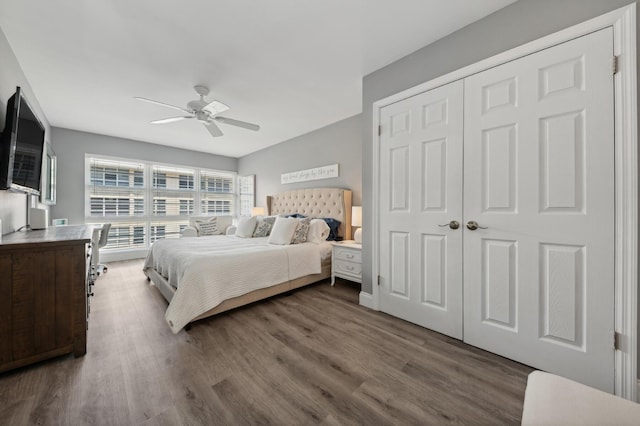 bedroom featuring dark wood-style floors, ceiling fan, and a closet