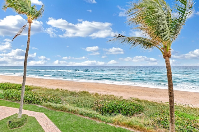 water view featuring a beach view