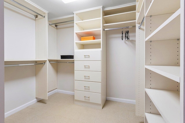 spacious closet featuring light carpet