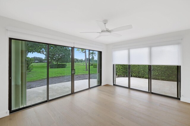 spare room with ceiling fan and light hardwood / wood-style flooring