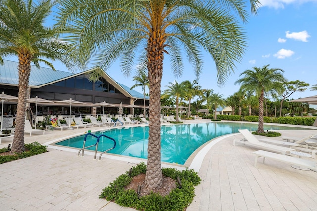 view of swimming pool with a patio area