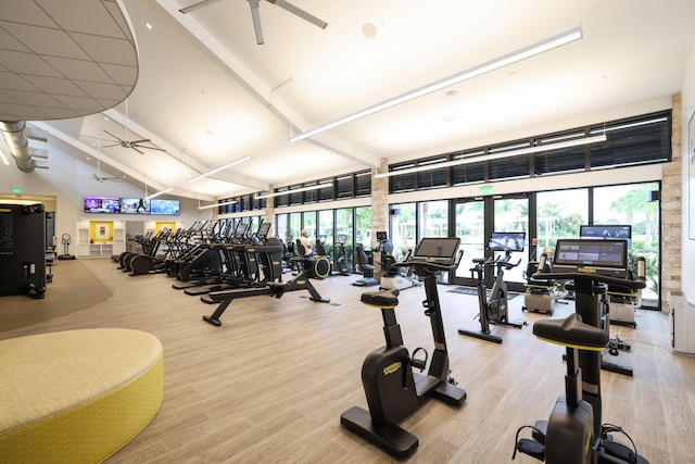 exercise room with light wood-type flooring and ceiling fan