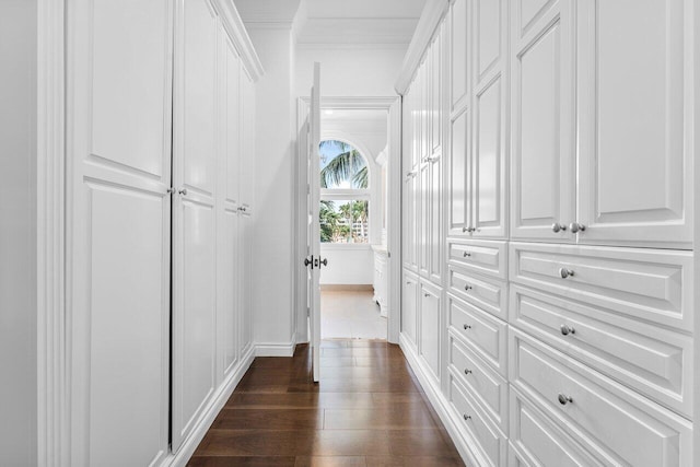 spacious closet with dark hardwood / wood-style flooring