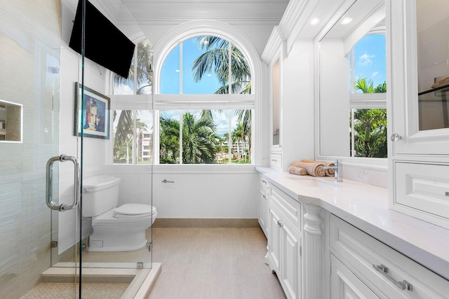 bathroom featuring vanity, toilet, and a shower with door