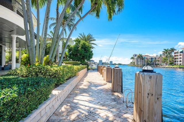 dock area with a water view