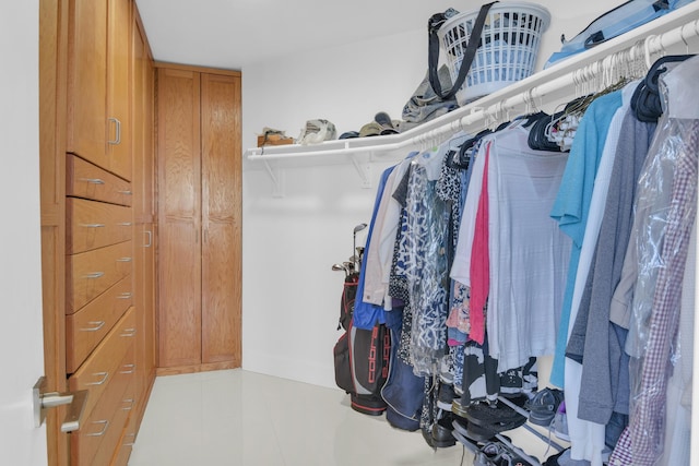 view of spacious closet