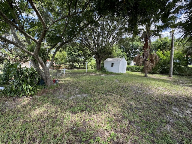 view of yard with a shed