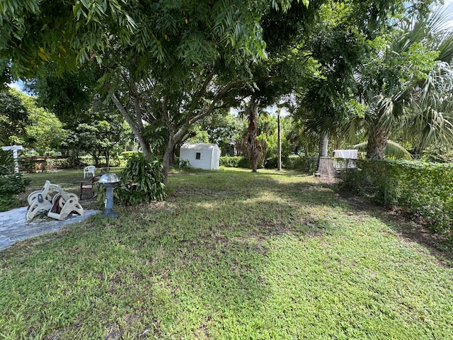 view of yard with a shed