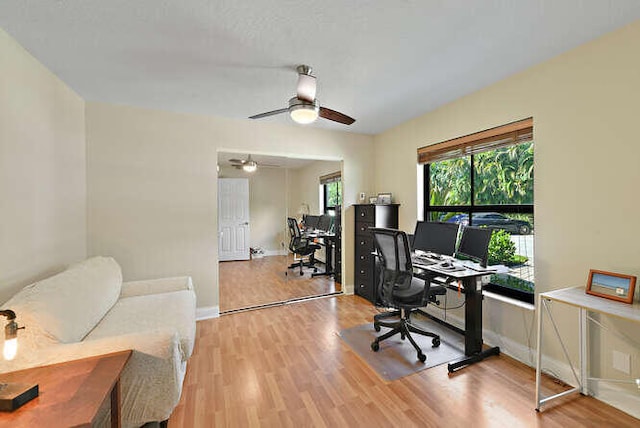 office area featuring light hardwood / wood-style floors and ceiling fan