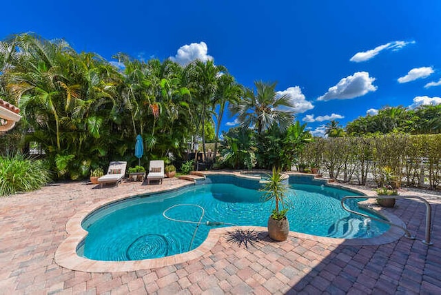 view of swimming pool with a patio