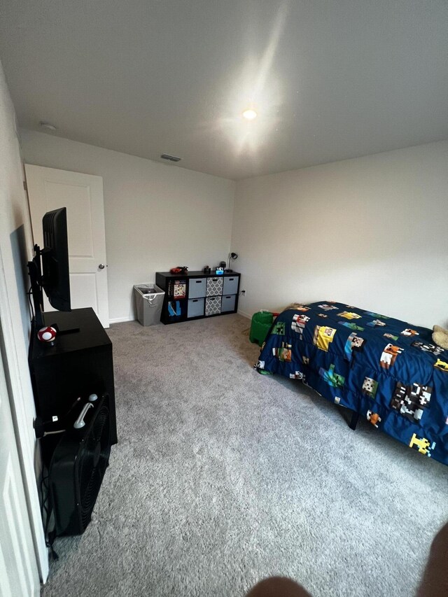 interior space with carpet floors