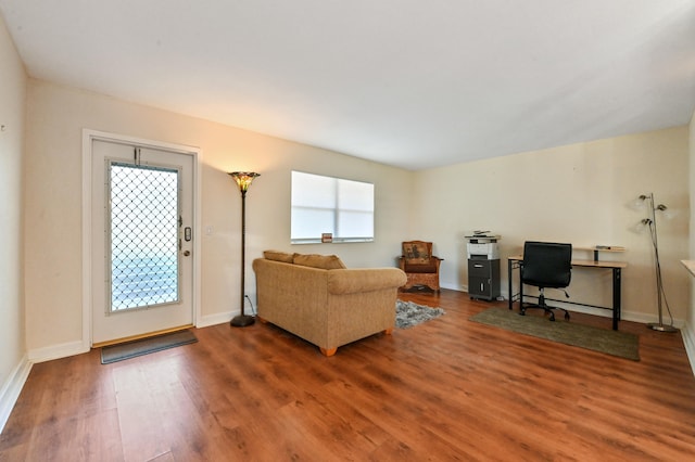 living room with wood-type flooring and a healthy amount of sunlight