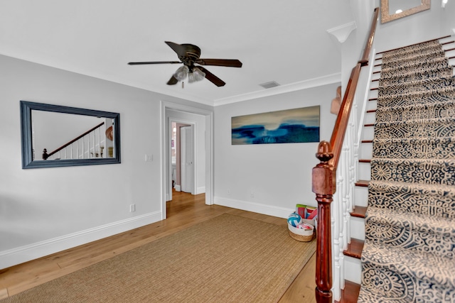 staircase featuring ceiling fan, wood-type flooring, and crown molding