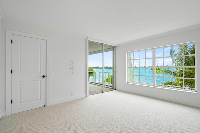 carpeted spare room featuring a water view and crown molding