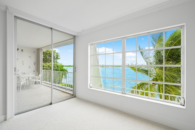 empty room featuring carpet floors, a healthy amount of sunlight, and a water view