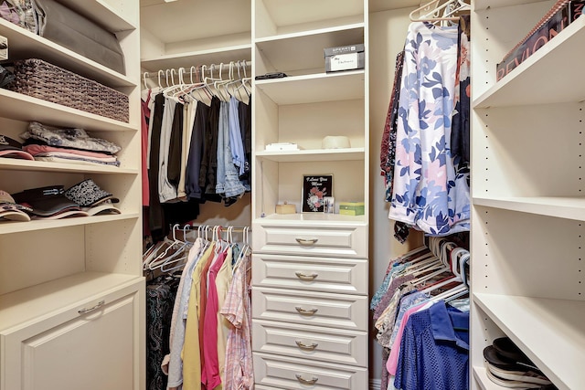 view of spacious closet