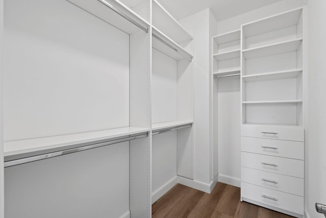 spacious closet featuring dark hardwood / wood-style floors