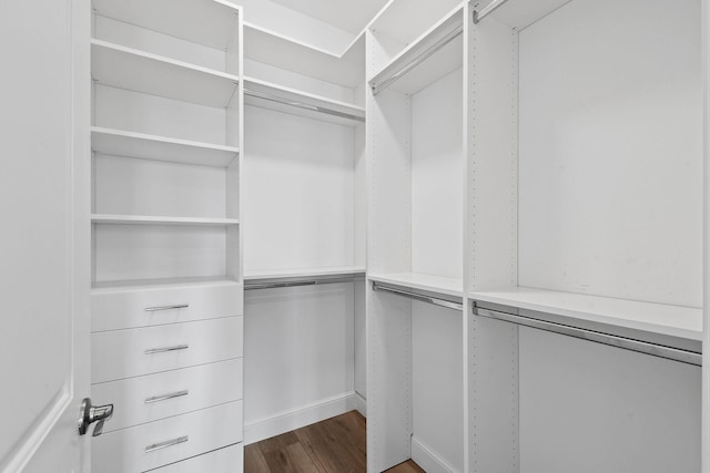 walk in closet with hardwood / wood-style flooring