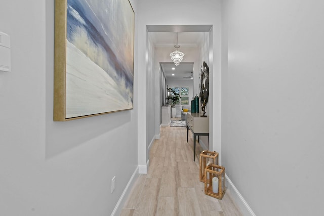 hall featuring ornamental molding and light hardwood / wood-style floors